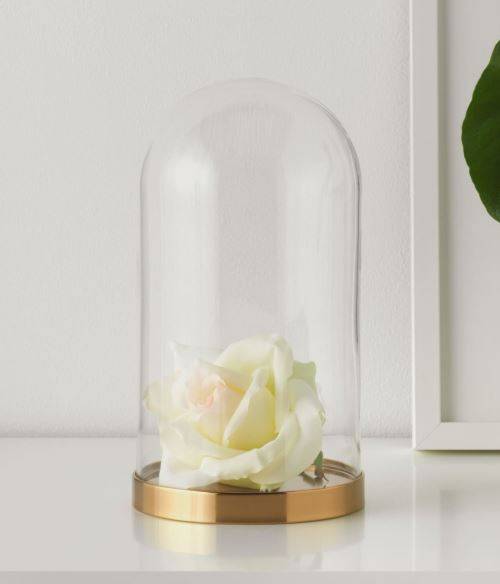 Cloche en verre sur socle