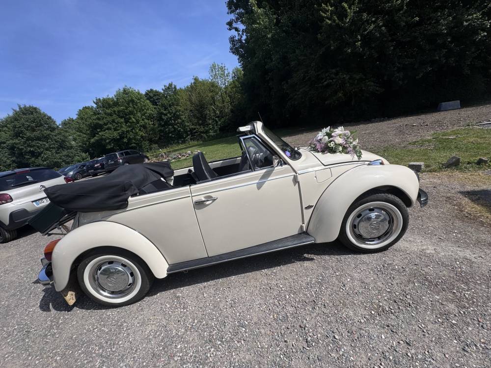 Cox cabriolet