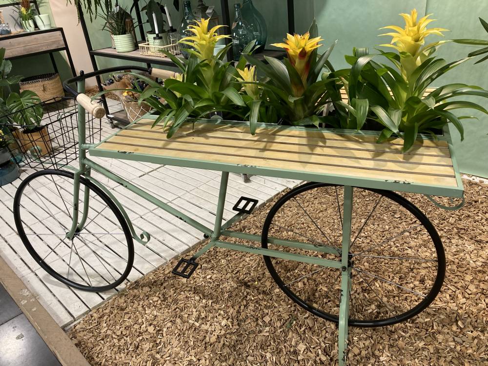 Vélo ancien couleur vert d'eau