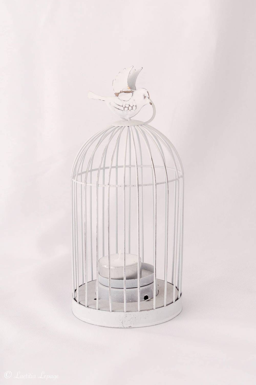 Cage oiseau